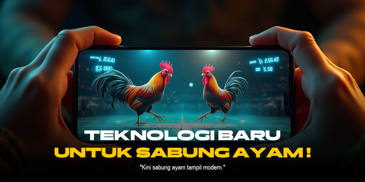 Mengenal Jenis Ayam Aduan Terpopuler di Sabung Ayam SV388